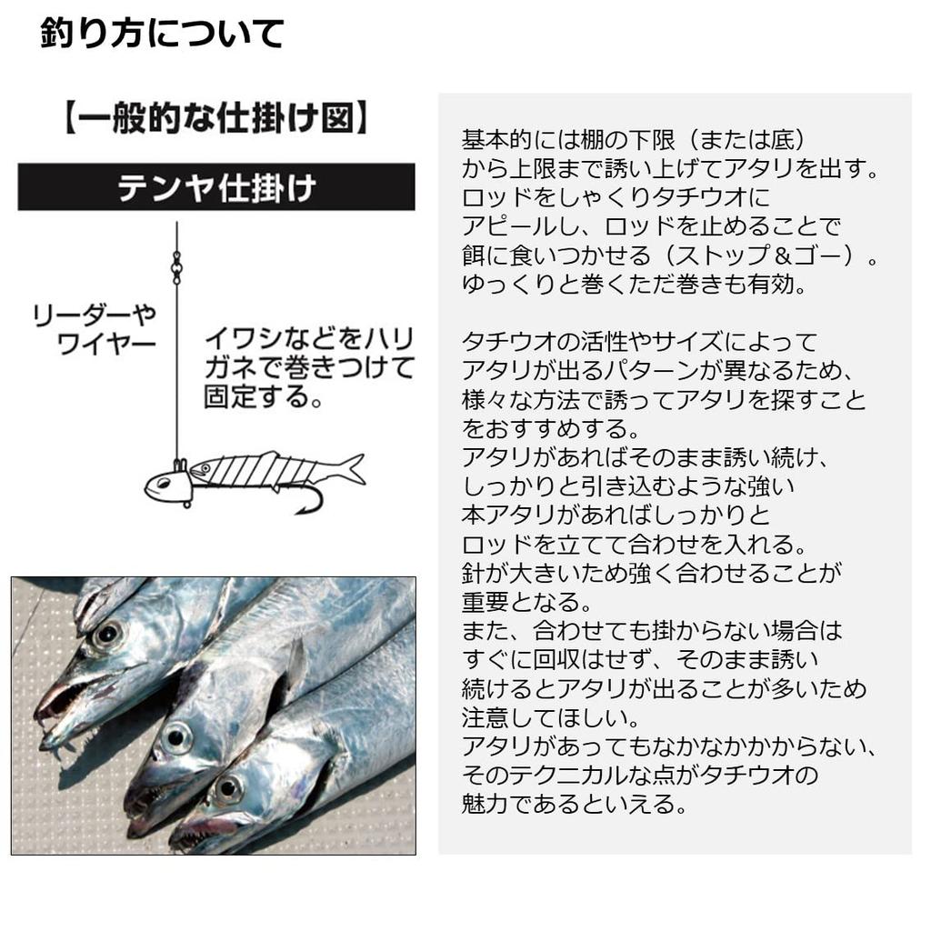 Daiwa Tenya Tachiuo X 73-180 R Black