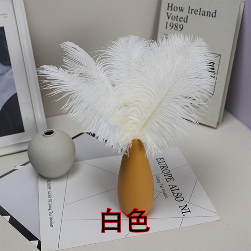 10 STÜCKE 20-25Cm Straußenfeder Bühnenauftritt Feder Handgefertigt DIY Schmuck Dekomaterial Straußenhaar