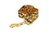 Leopard Print Dog Collar & Leash Set with Customizable Engraving