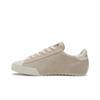 Converse All Star Low-Top Canvas Shoes