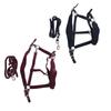 Horse Halter Set Prevent Rubbing Adjustable Horse Training Halter with 2m Horse Leash for Training D
