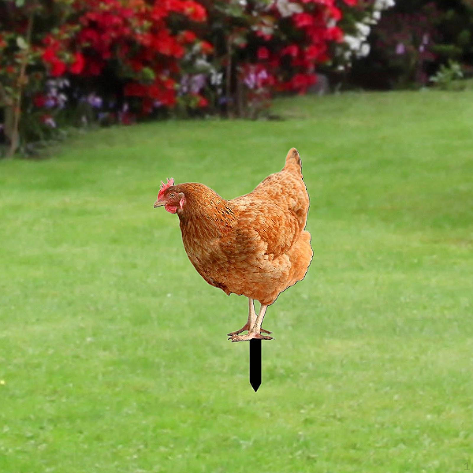 

Акриловая фигурка курицы, украшение для двора Style B