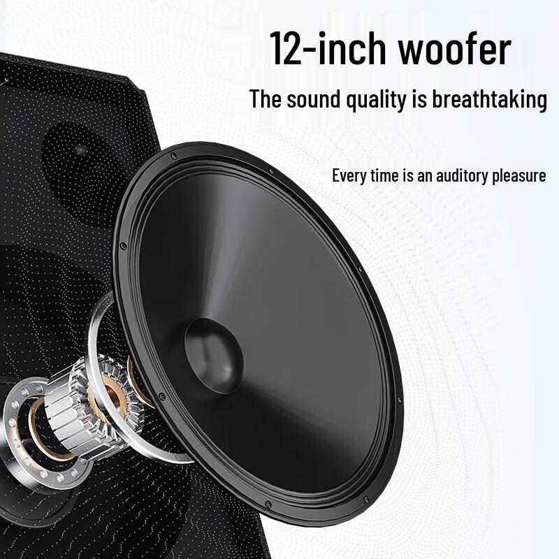 Newman N537 12-inch High Power Portable Karaoke Bluetooth Trolley Speaker