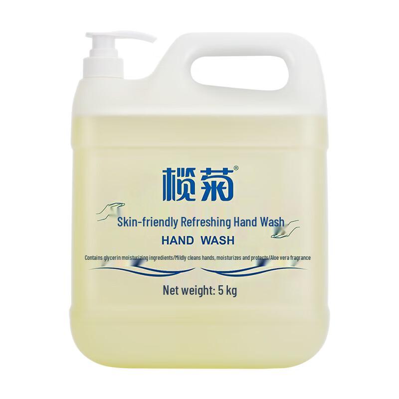 Lanjv Bulk Hand Soap Refill with Pump