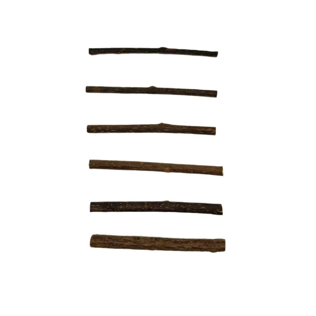 Cat Toy Matatabi Teething Stick for Self-Play