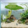 Artificial Betta Fish Floating Bed with Suction Cup Betta Spawning Bed  Betta Fish Tank