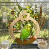 Wear Resistant Parrot Swing Toy Wooden Parrot Play Rack Bird Training Stand Pet Entertainment
