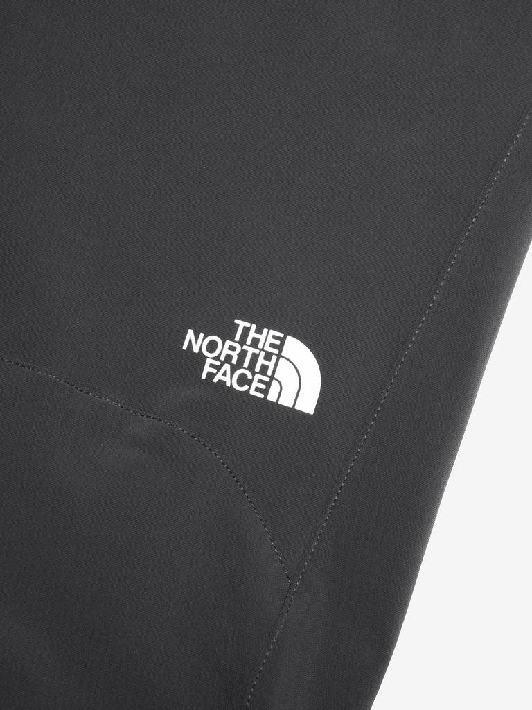 The North Face Alpine Light Size L Pants, Men's, Water-Repellent, Stretch, Anti-Static, Black,