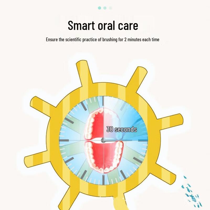 QBM Adult Sonic Electric Toothbrush