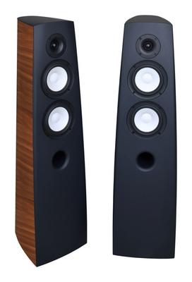 Acoustique Quality CANTO 5  - Audiophile Floorstanding Speaker, Two-way Design with 230W Power / SB ACOUSTICS, Acoustique Quality