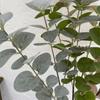 Plastic Artificial Eucalyptus Leaf Pulp Leaf Imitation Plant 3 Fork Eucalyptus 3D Printing Green Plant Decor Wedding Decoration
