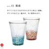 [Aderia] Tsuneguro Matsuri Gold-Painted Tumbler Pair Set 305ml, Made in Japan, Gift Boxed FS71566