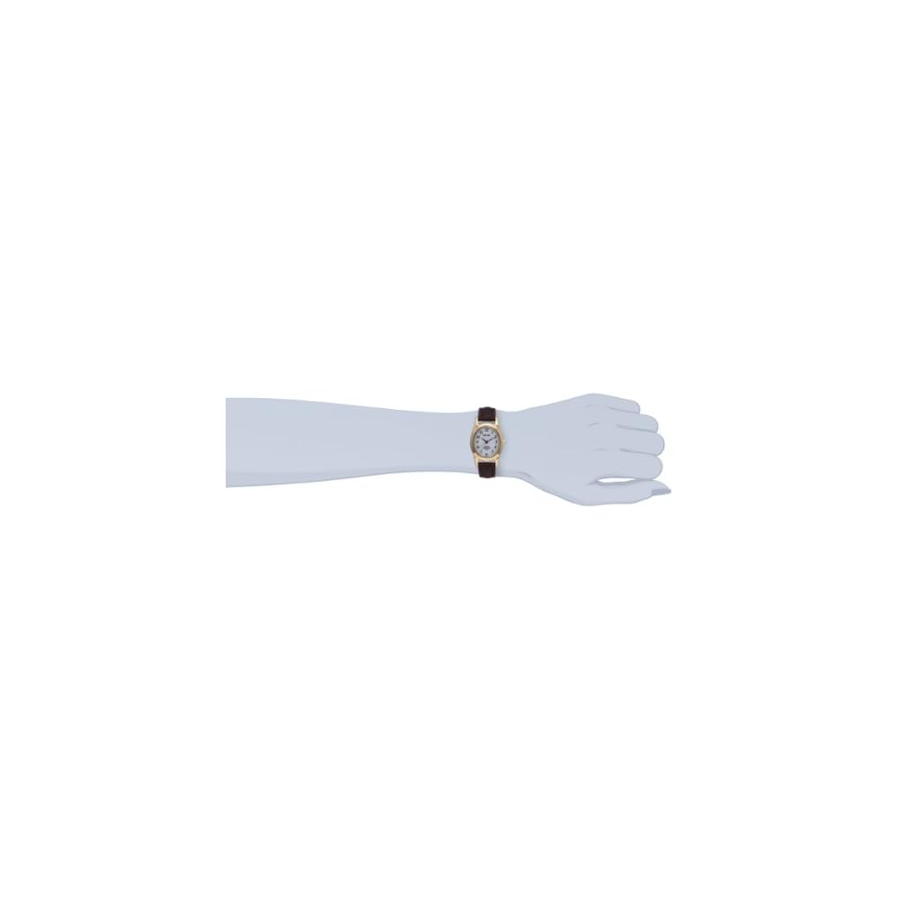 Citizen Q&Q Analog Solar Waterproof Watch Brown Leather Strap Women's White Brown