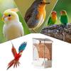 Automatic Bird Feeder For Cage Bird Food Dispenser Cage Accessories Pet Supplies For Cockatiel Parrot Cockatoo Canary Parakeet