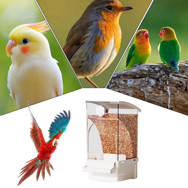 Automatic Bird Feeder For Cage Bird Food Dispenser Cage Accessories Pet Supplies For Cockatiel Parrot Cockatoo Canary Parakeet