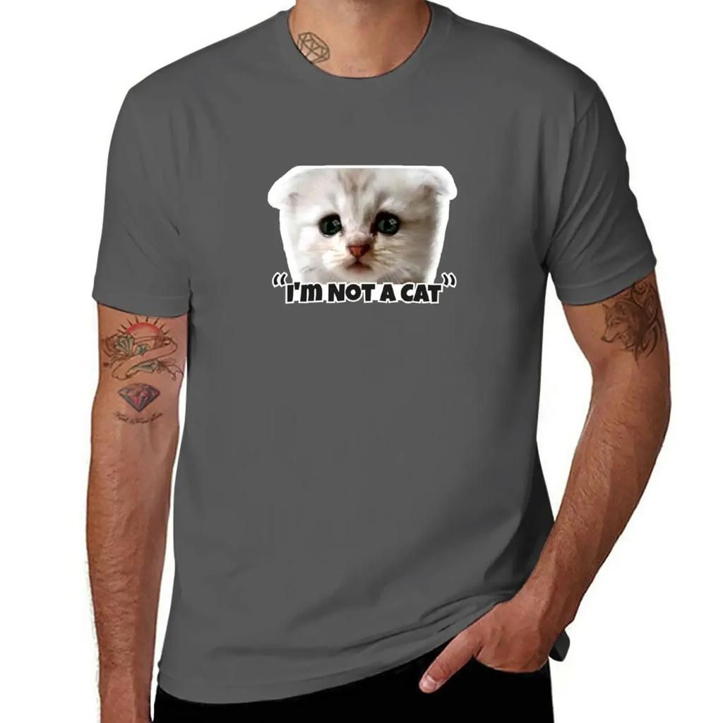 I'm Not a Cat T-Shirt quick-drying sports fans t shirt for men