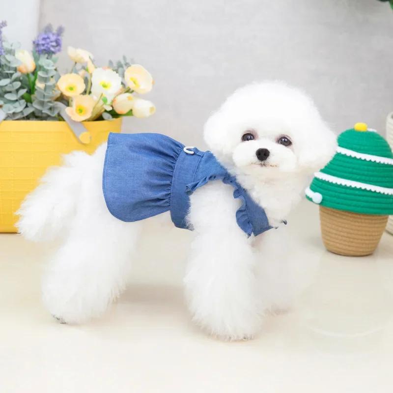 Nice Spring Summer Little Dog Cat Dog Dog Dress Rookie Letters Z 'Anne Rainbow Dress Chow Woo for home decoration