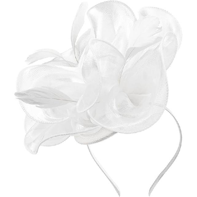 DRESHOW Fascinators Hat Tea Party Headwear Ribbons Feathers on a Headband and a Clip for Women