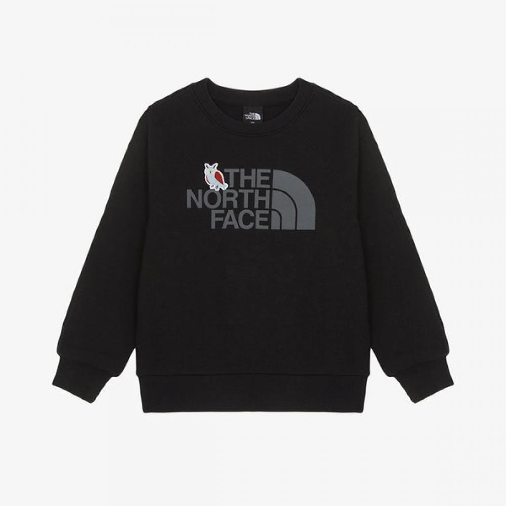 

The North Face Kids Animate Sweatshirt Black Nm5mr55s BLACK/100