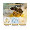 Bee Venom Wrinkle Removal Cream,Bee Venom Anti-Wrinkle Firming Moisturizing,Lifting & Recovery for All Skin Types New