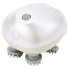 Home Salon Pet Auto Twist Brush