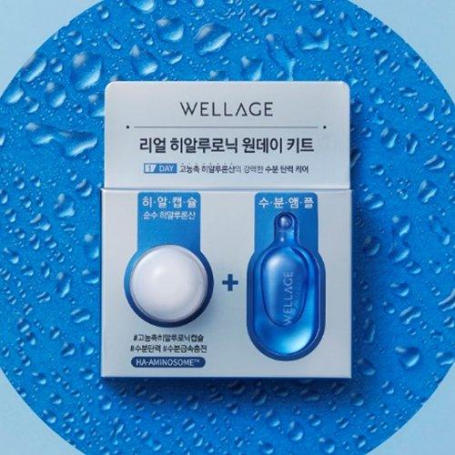 Wellage Real Hyaluronic One Day Kit 4ea NONE