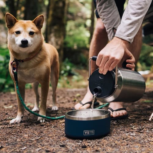 YETI Rambler Gallon Jug, Vacuum Insulated, Stainless Steel, with Mug Cap, Agave Teal