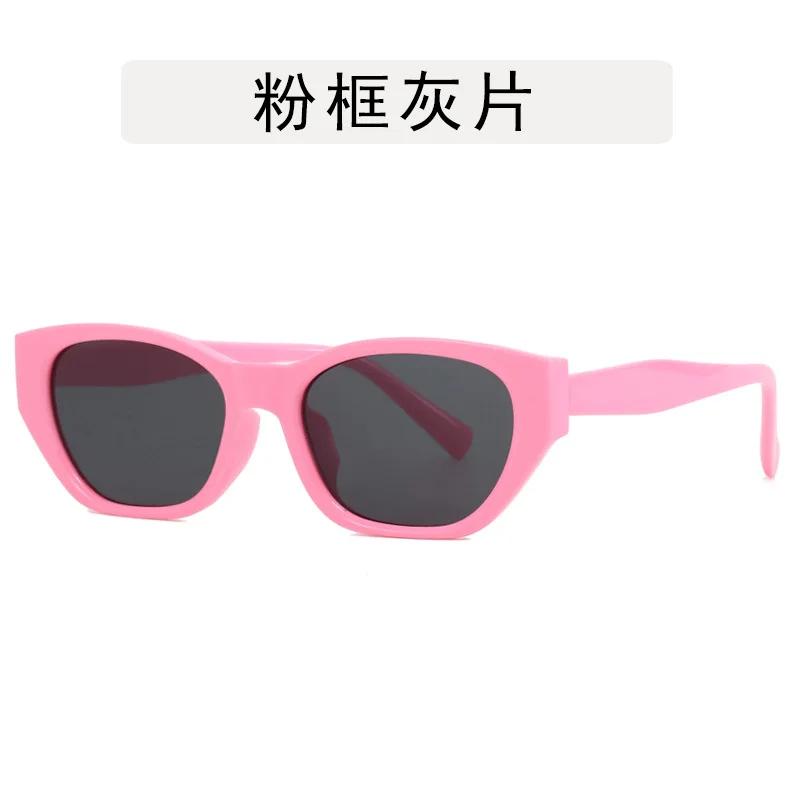 New Trendy European American Cat Eye Sunglasses Woman Fashionable Sunglassess Man Outdoor Skiing Casual Sunglasses