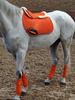 Six-Piece Equestrian Set: Ear Covers, Saddle Pads, Leg Wraps, Halters, Lead Ropes, and Matching Tack