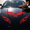 Car Stickers And Decals UV-Resistant Eagle Adhesive Fashion Decor Eagles Bumper Sticker For Vehicles Auto Truck Hood DIY