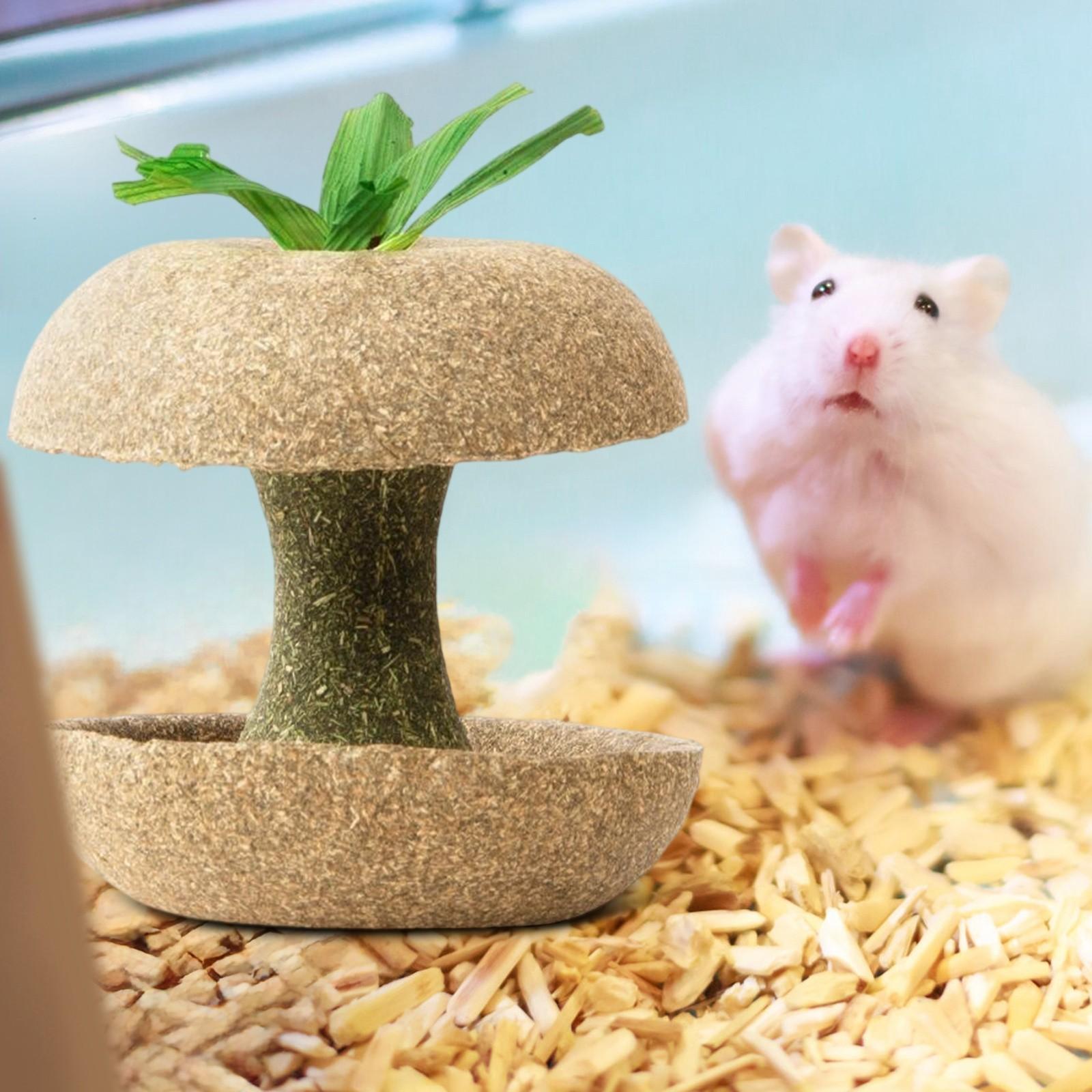 

Основные прорезыватели Тимофеевка печенье One Size