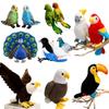 Bebek ve Peluş Oyuncaklar – Doldurulmuş ve Peluş oyuncak hayvanlar