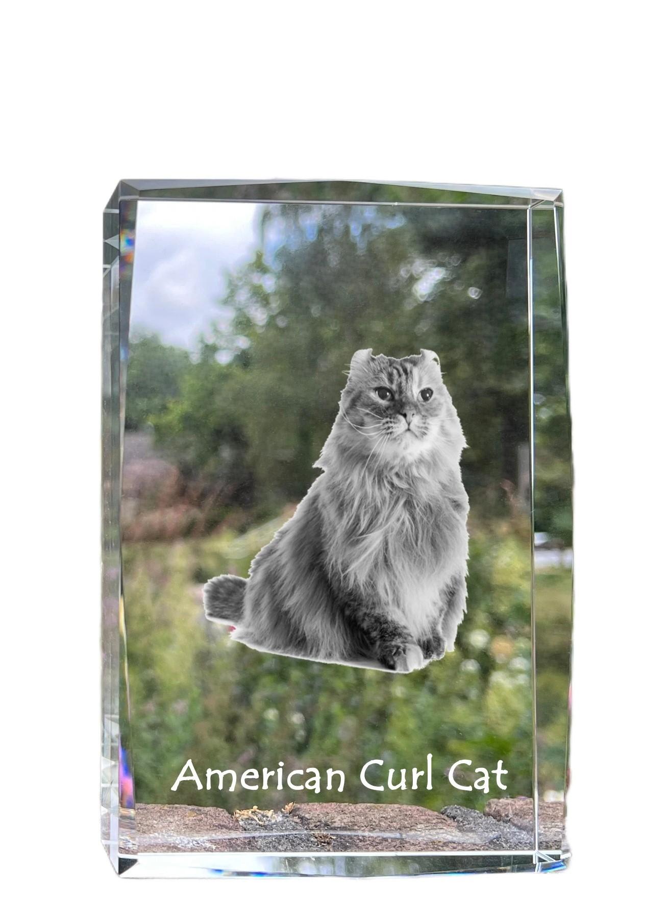 American Curl - crystal with a picture of a cat, photo in glass, modern exhibition of Art-Dog brand photo trasparente