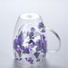 Double-layer Glass Mugs with Dry Flower and Handle for Coffee, Cocktails Elegant Glasses Cup for Entertaining Guest