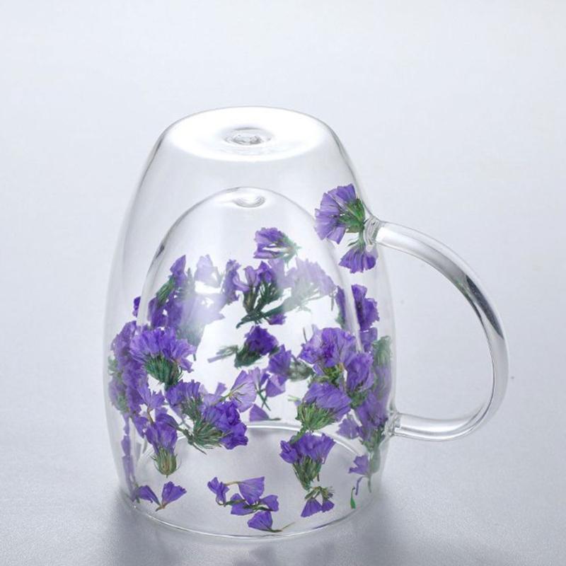 Double-layer Glass Mugs with Dry Flower and Handle for Coffee, Cocktails Elegant Glasses Cup for Entertaining Guest