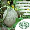 5er-Pack Pflanzen-Melonen-Stützen, Käfige, Halterungen, Rankgitter für Wassermelonen, Cantaloupe-Melonen, Kürbisse, Erdbeeren, Vermeidet Bodenfäule, Wiederverwendbar