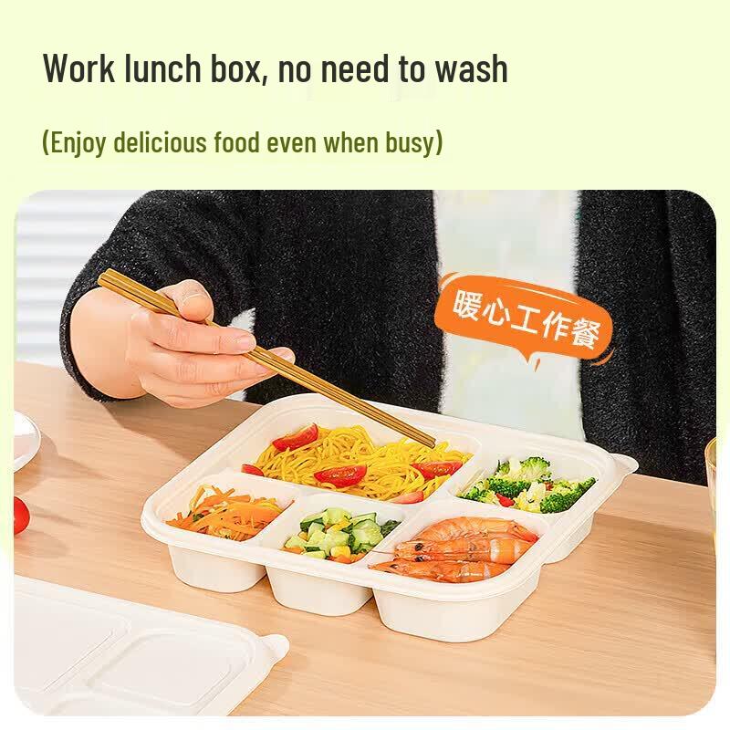 Eco-Friendly Biodegradable Compartment Meal Boxes with Lids