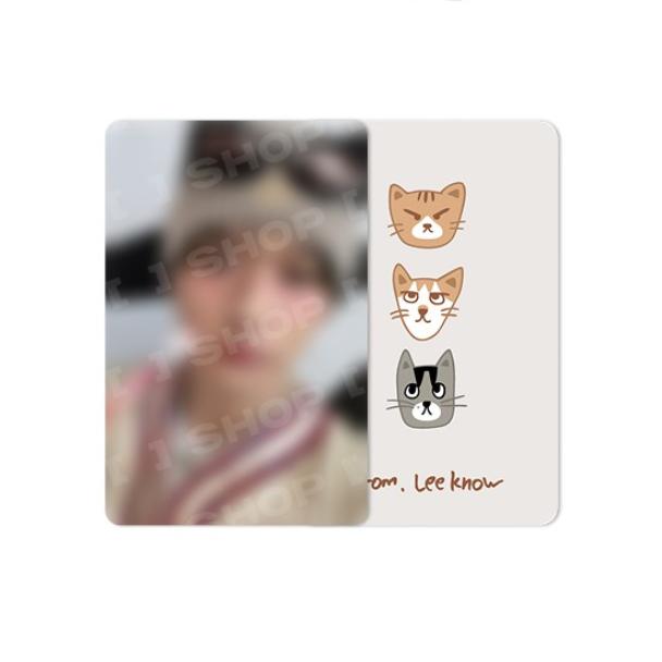 Pre-order Stray Kids World Tour dominATE: celebrATE SOON-DOONG-DORI Key Ring Set by Lee Know