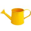 Home Watering Pot Large Capacity Water Spraying Pot Mini Watering Can  for Children