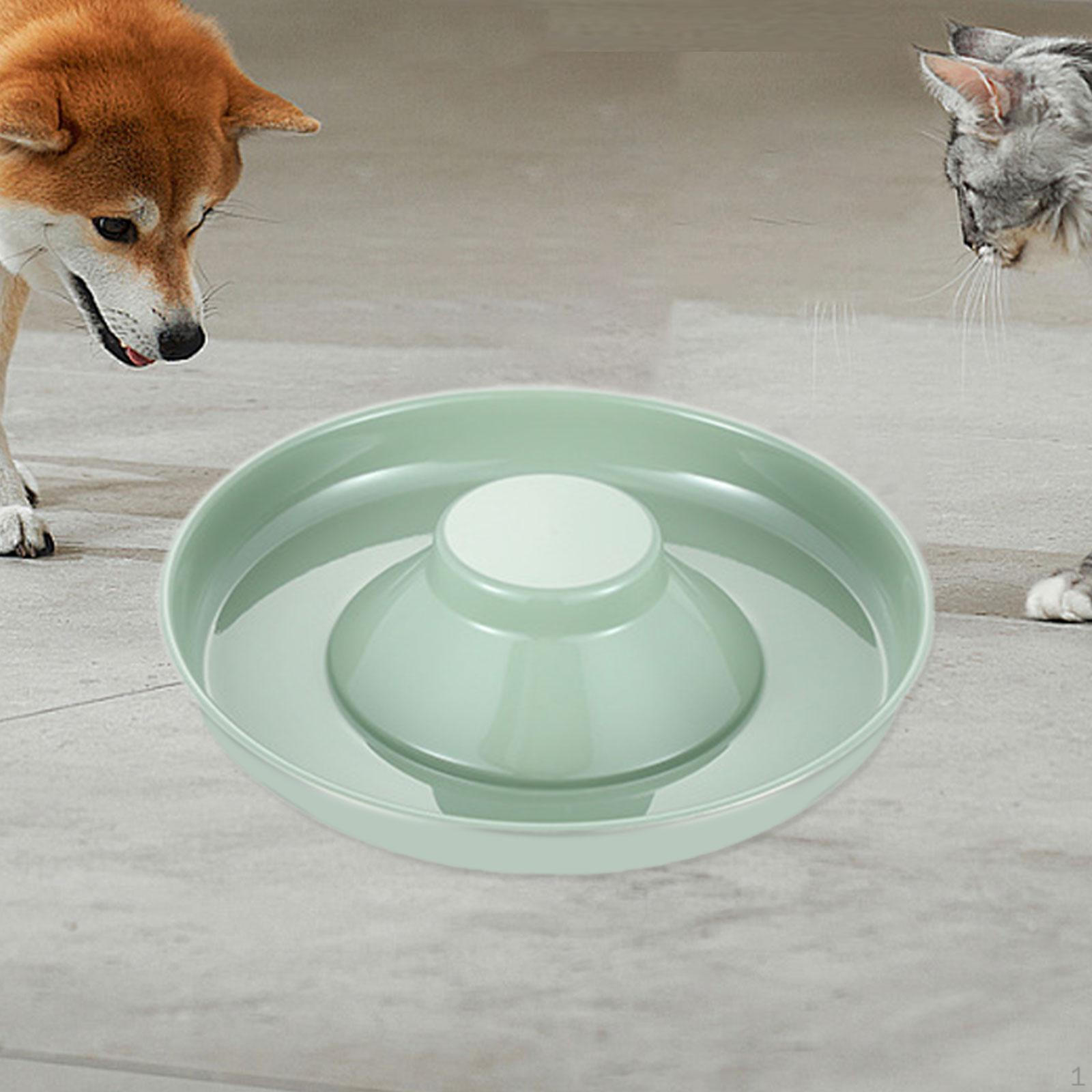 

Cat Slow Feeder Bowl Anti Gulping Whelping Dish Dog for Kitten Pet Accessories зелёный