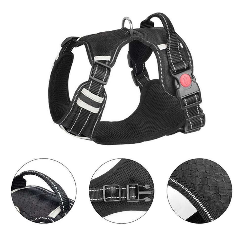 holuck dog harness