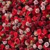Uflower Red Rose Flower Wall Roll-Up Hanging Fabric Backdrop for Wedding Event Party Decorations Artificial Floral Curtain