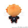 Haikyu!! [Anime Version] Hinata Shoyo Nui Pal [Plush Toy]