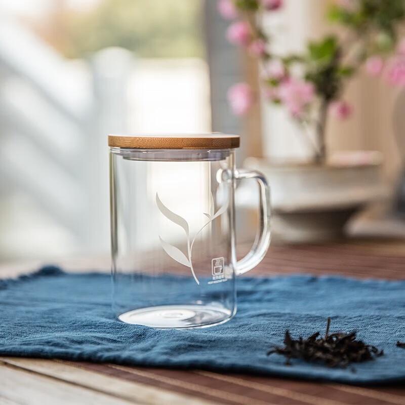 Sohome 500ml Heat-Resistant Glass Mug with Bamboo Lid