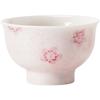 Suet Jade Tea Cup Handmade Cherry Japanese Ceramic Teacups Porcelain Tea Tasting Chinese Kungfu Household Teaware Master Cups