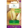 Legutko Red Cabbage Seeds Haco 1G