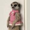 Bunny Harness Small Animal Walking Dress Strap Breathable Small Animal Clothes with Leading Rope for Training Outdoors Backyard