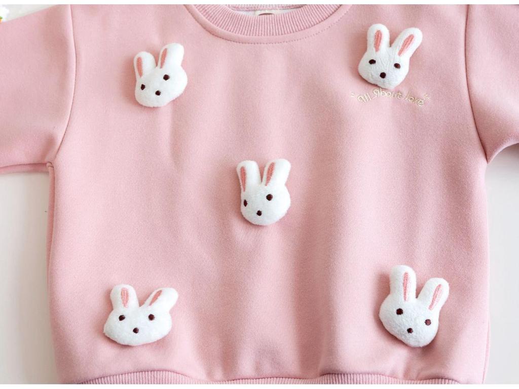 2024 Autumn Baby Girl Korean Hoodie - Cartoon Style with 3D Rabbit Decoration
