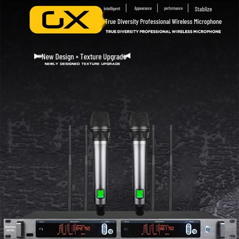 Xun Er Wei Professional True Diversity Wireless Microphone System (CN version)