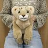 Sun Lemon Knee Lion Baby Stuffed Toy Animal Lion 17x43.5x18cm P-8882
